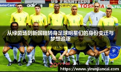 yy体育